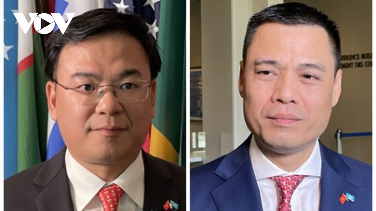 Deputy PM highlights heightened Vietnamese international position